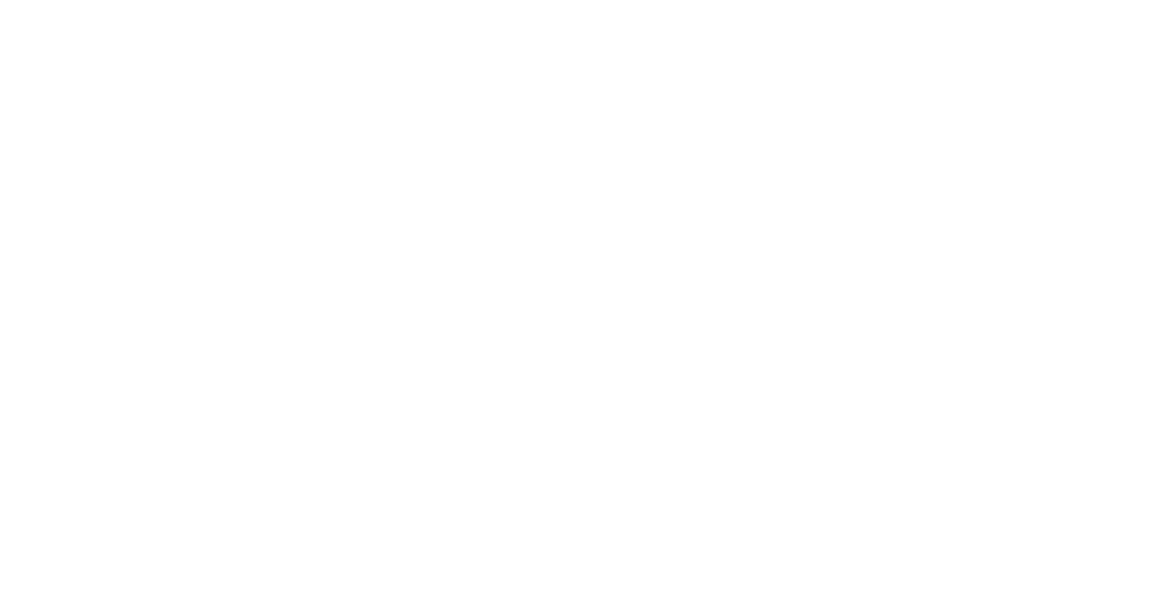 logo light